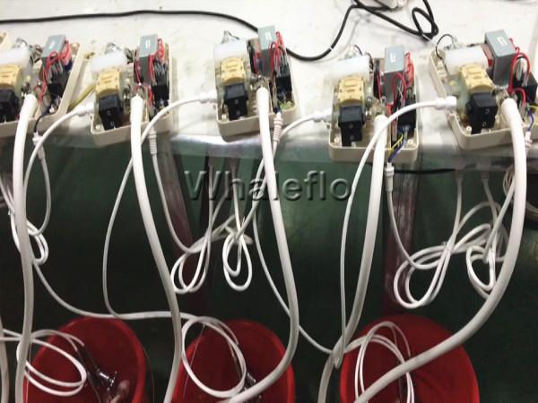 Испытание системы дозатора воды для бутылок Whaleflo